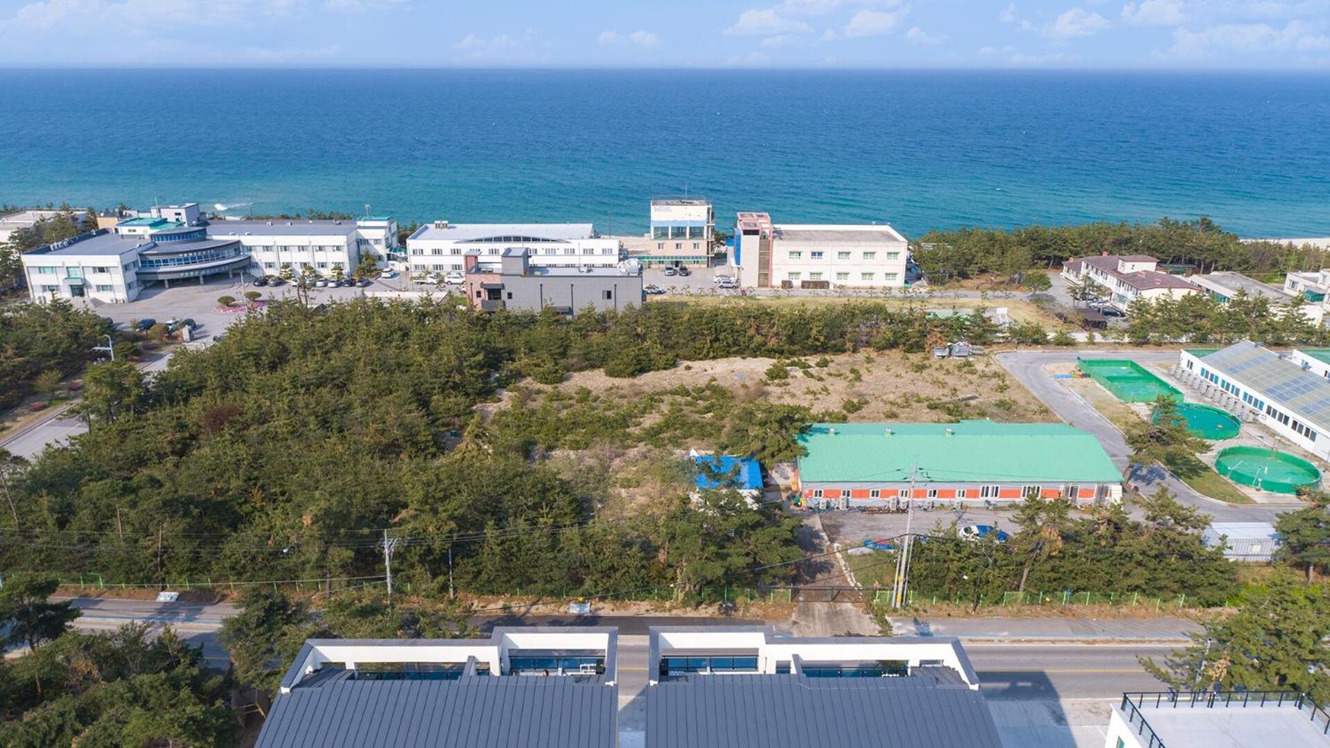 Gangneung Joeungot Poolvilla ภายนอก รูปภาพ